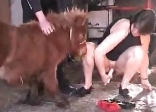 Sexy small pony and perverted zoophile slut