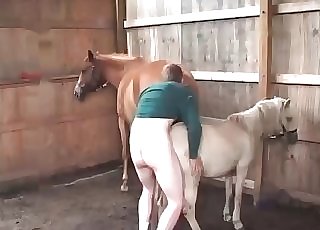 Fucking epic horse in doggy style pose