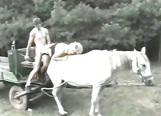 5526.com login - Family couple smashes on a horse