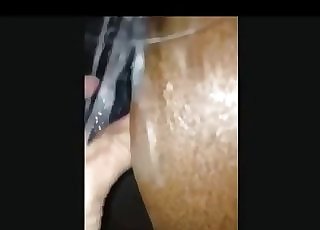 Zoophile fucks a stallion in doggy-style