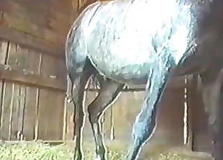 Ebony stallion gets a very good and hot handjob