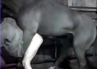 Dude gets ruined by a horse