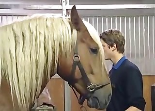 Two horses fuck like crazy, enjoy