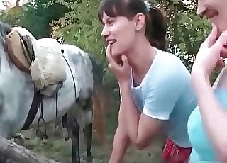 Two cute ladies and their horny stallion