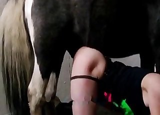 Horse cock is flawless for that hole