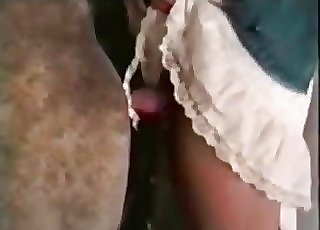 Zoophile with strapon penetrated a pony butthole