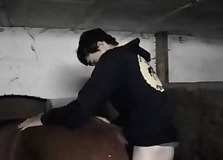 Stallion nailed her wide-opened wet cunt so hard