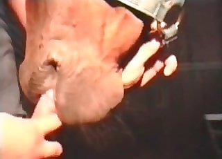 provas instituto bahia - Big stallion is licking and sucking my dick