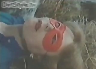 Horse getting its trouser snake sucked