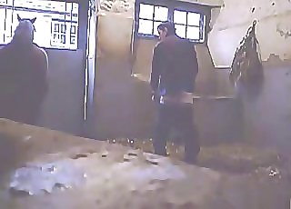 Hardcore barn fuckfest with a filthy pony