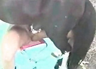 A really tight hole gets totally destroyed by a horse