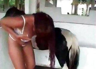 Great sex between a pony and a female