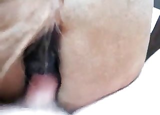 The cunt of a cute horse gets banged by a horny lad