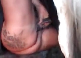 Chubby MILF gets her holes stretched out by a stallion