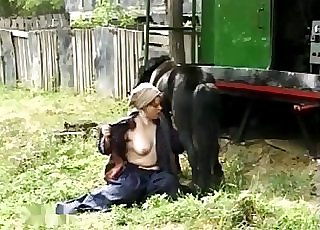 Small black pony sucked by farm zoofil