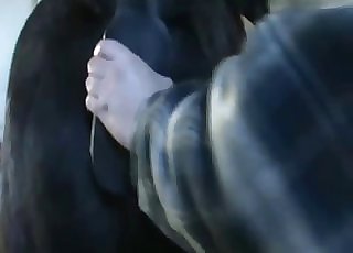 Awesome and nasty stallion fuck-a-thon game