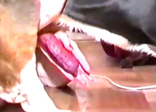 Brilliant amateur bestiality looks so gorgeous