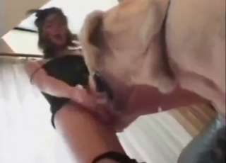 cupom frete gratis magazine luiza - Japanese girl down a round butt needs dog dick