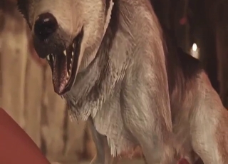 oqueélabet - Seducer gets to fuck Ciri from The Witcher here